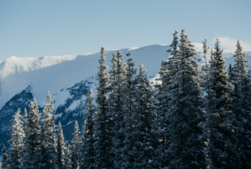 Avant Lech et la tournée nord-américaine